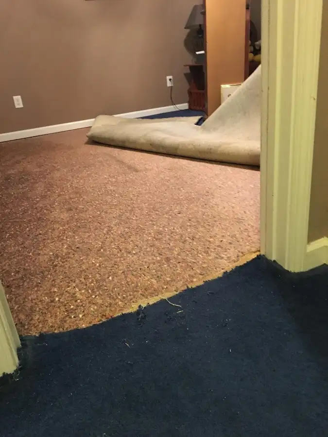 Carpet pad removal revealing water damage during Drying & Dehumidification in Barnstable Town